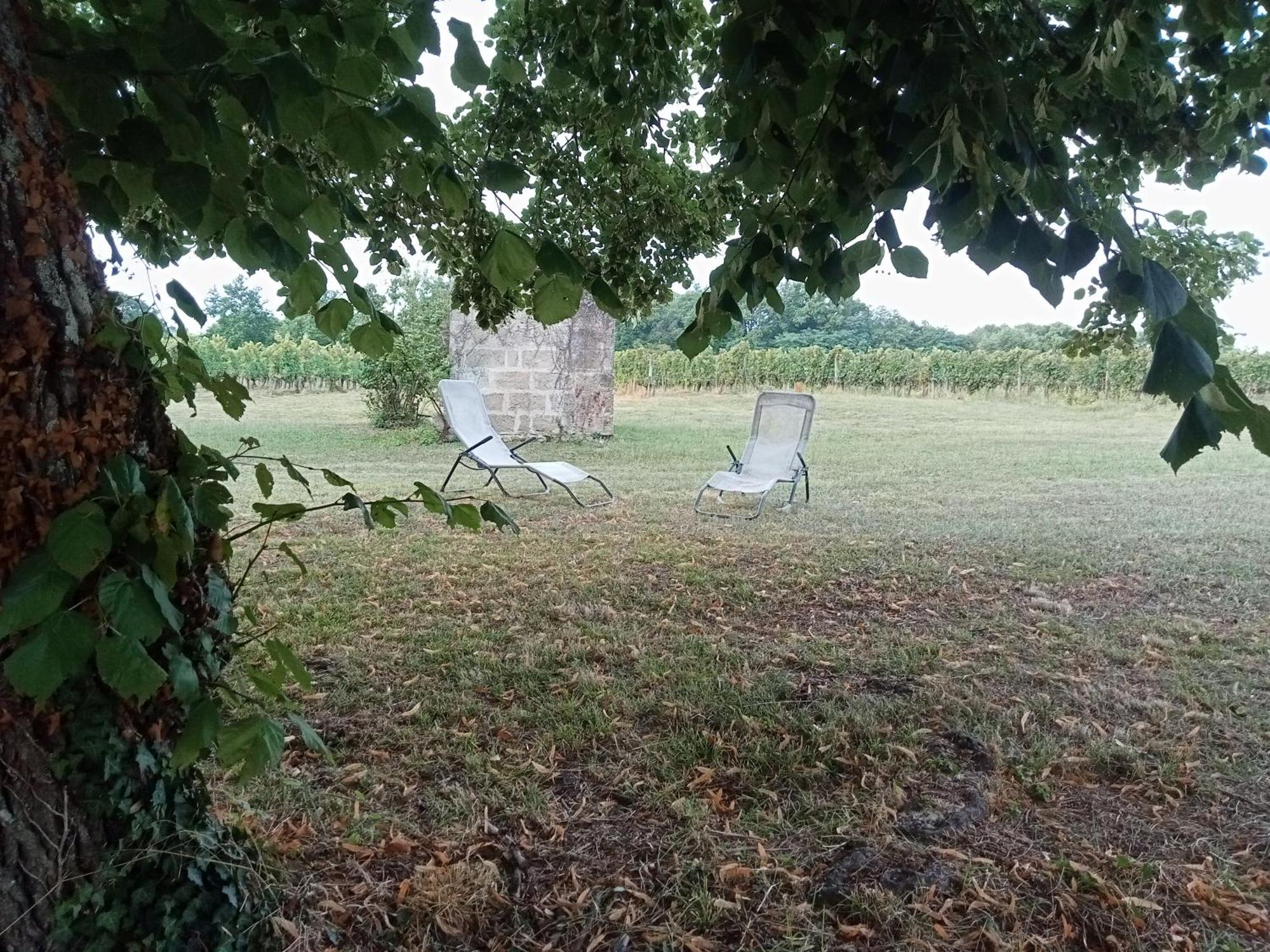 Le Domaine D Anaelys Villa Ruch Kültér fotó